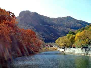 管家婆黑白马报图库，赵县物流